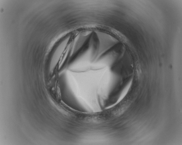 X0000076070728200610152227