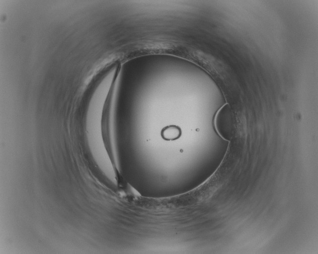 X0000076070731200610152227