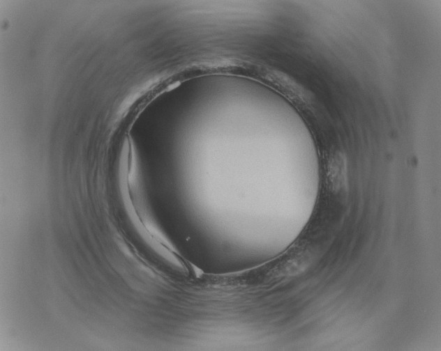 X0000076070732200610152227