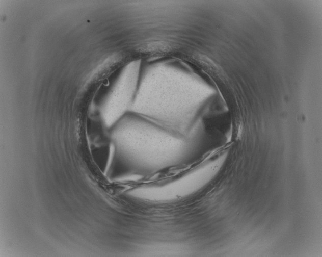 X0000076070735200610152227