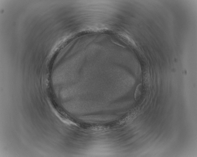 X0000076070736200610152227