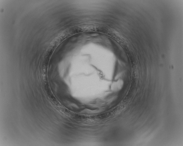 X0000076070737200610152227