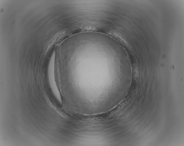 X0000076070738200610152227