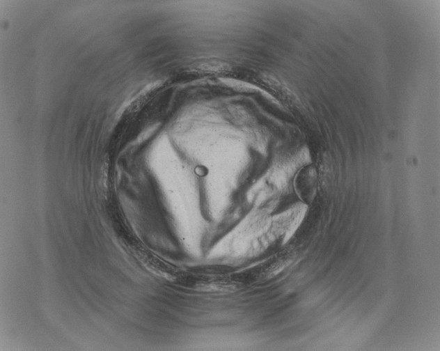 X0000076070739200610152227