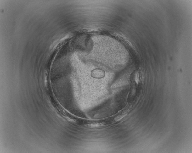 X0000076070740200610152227