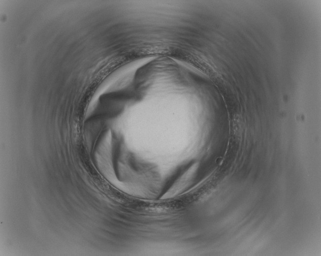 X0000076070741200610152227