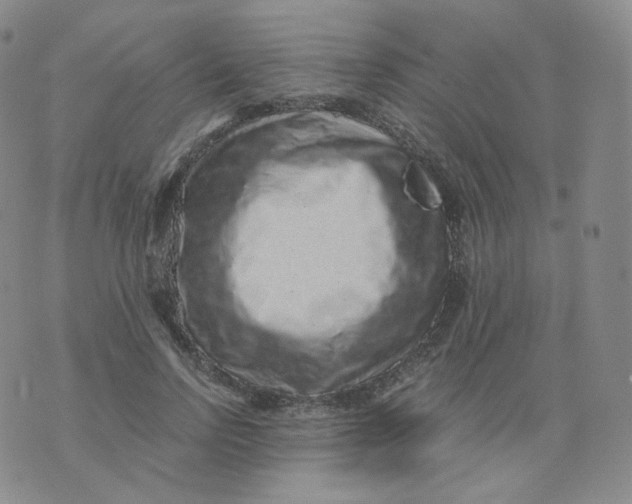 X0000076070742200610152227