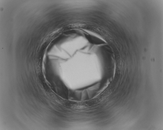 X0000076070743200610152227