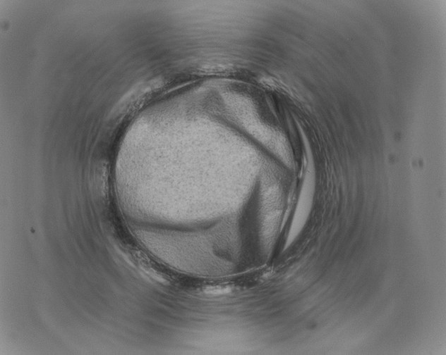 X0000076070744200610152227