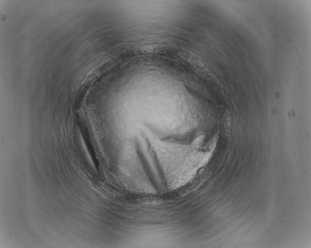 X0000076070746200610152227