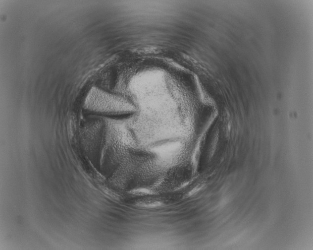 X0000076070747200610152227