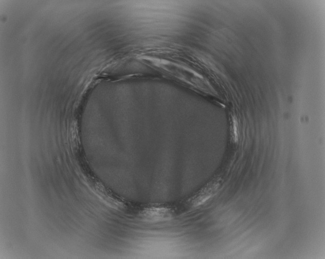 X0000076070748200610152227