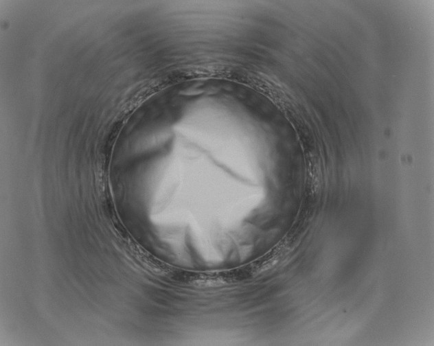 X0000076070749200610152227