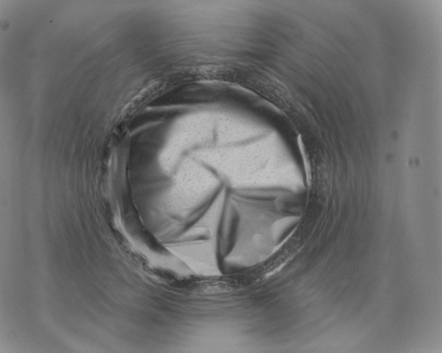 X0000076070750200610152227