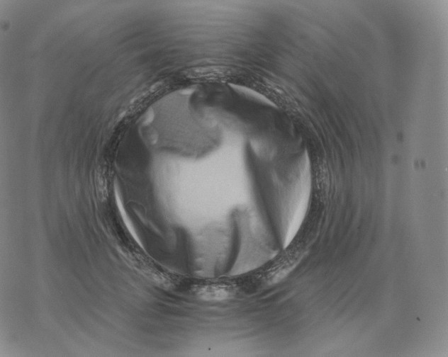 X0000076070751200610152227