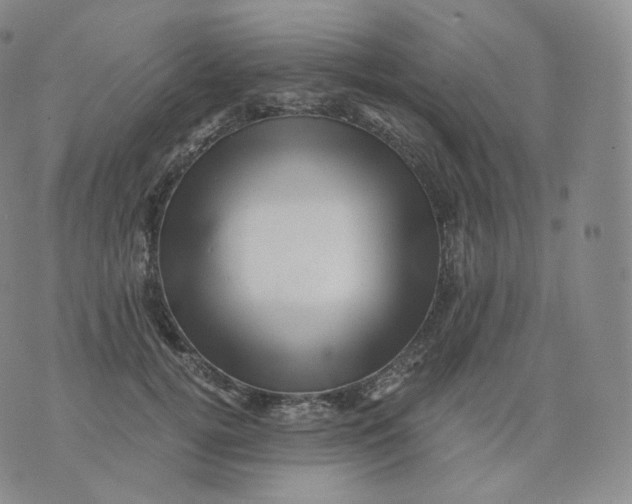 X0000076070752200610152227