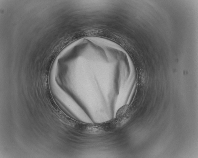 X0000076070753200610152227