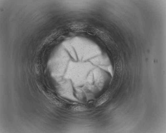 X0000076070755200610152227