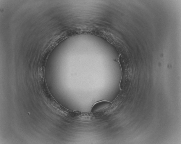 X0000076070756200610152227