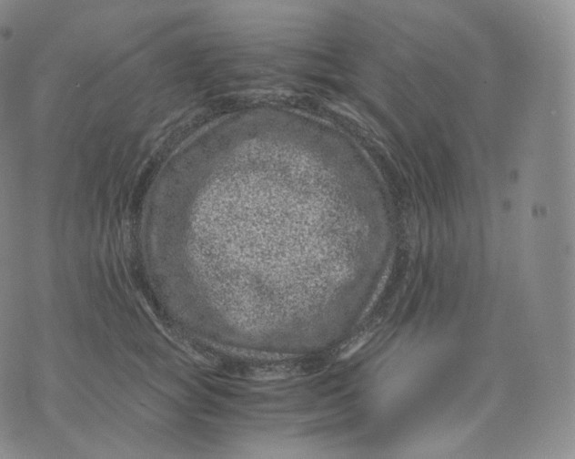 X0000076070757200610152227