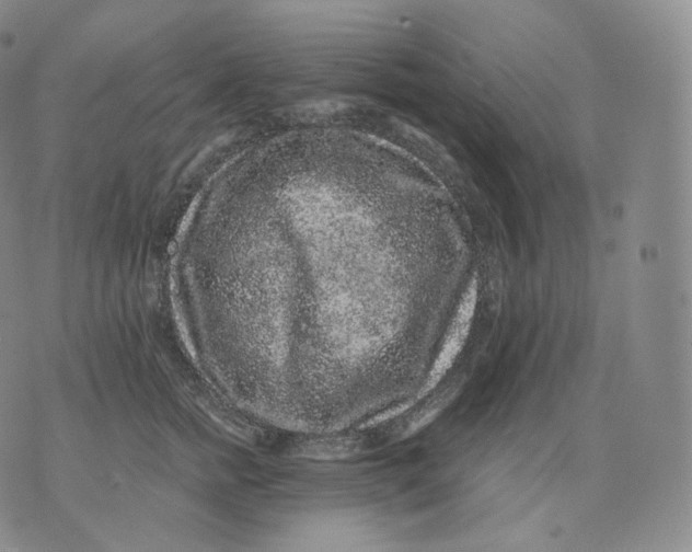 X0000076070758200610152227