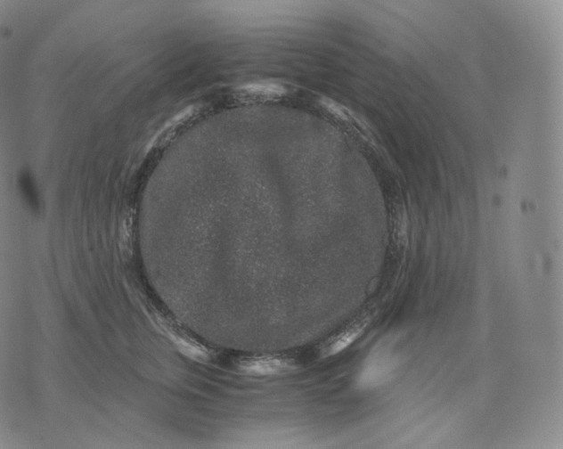 X0000076070759200610152227