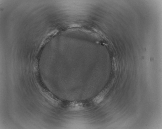 X0000076070760200610152227