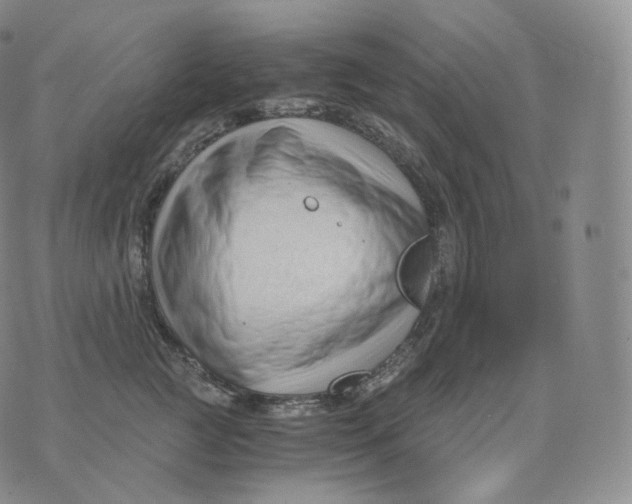 X0000076070761200610152227