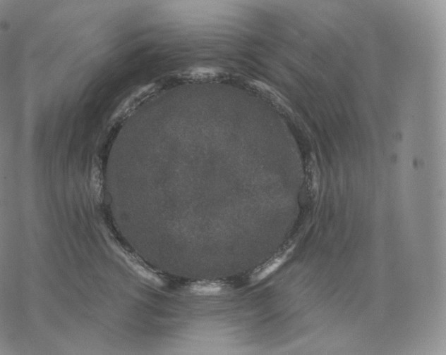 X0000076070762200610152227