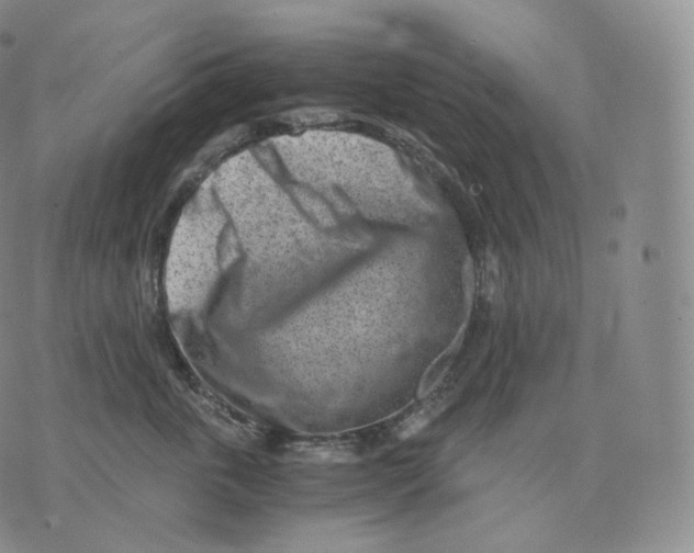 X0000076070763200610152227