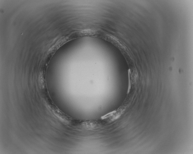 X0000076070764200610152227