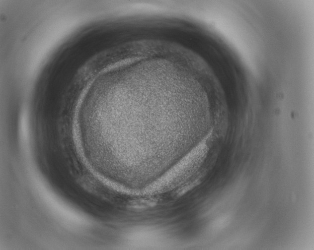 X0000076070765200610152227