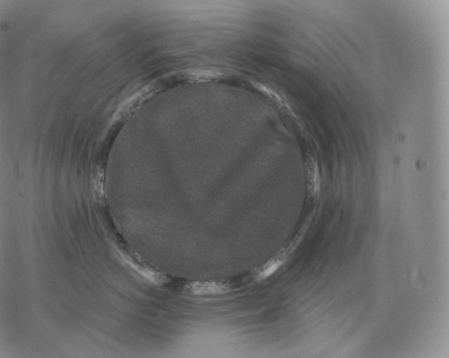 X0000076070766200610152227