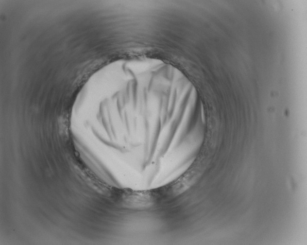 X0000076070768200610152227