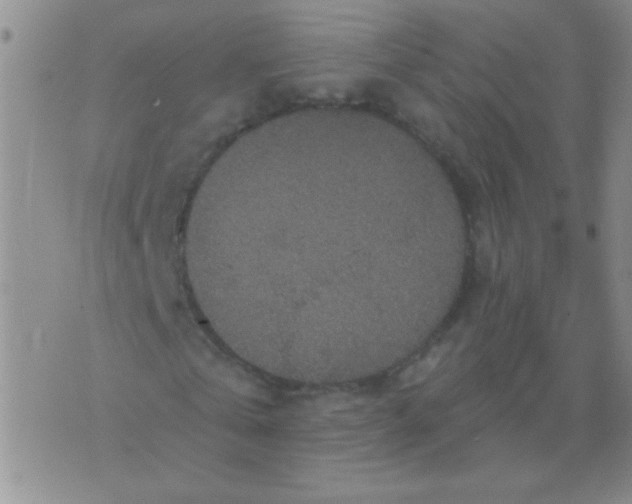 X0000076070769200610152227