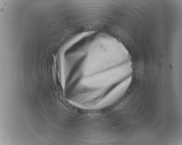 X0000076070770200610152227