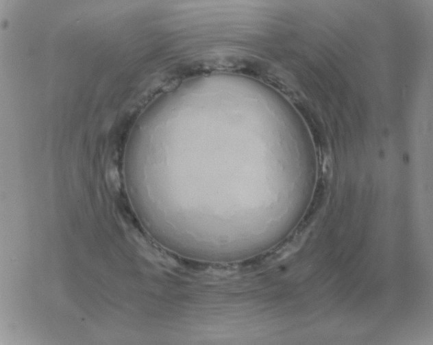 X0000076070771200610152227