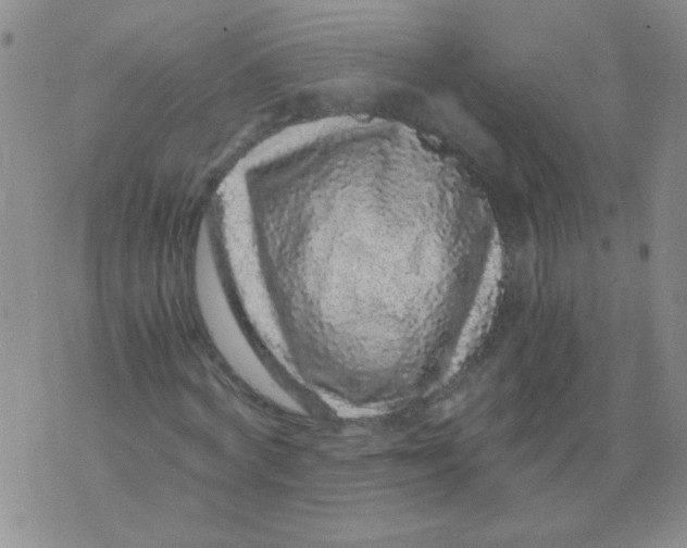 X0000076070772200610152227