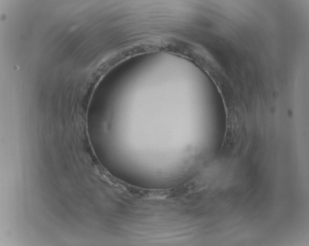 X0000076070773200610152227