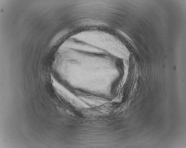 X0000076070775200610152227