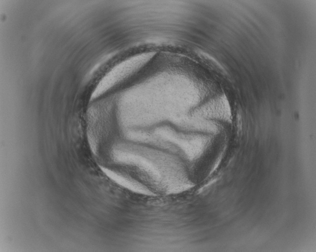 X0000076070776200610152227