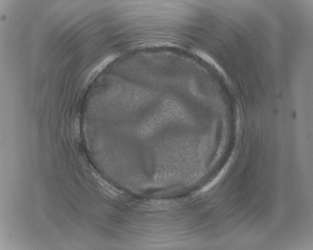 X0000076070777200610152227