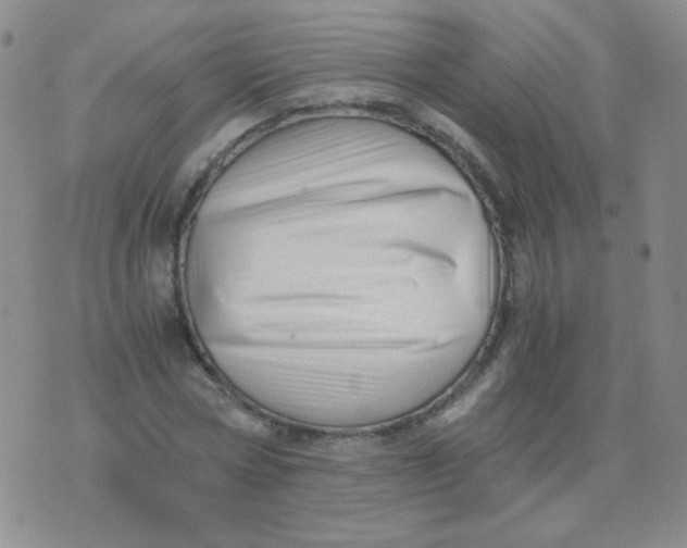 X0000076070778200610152226