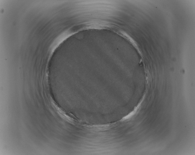 X0000076070779200610152226