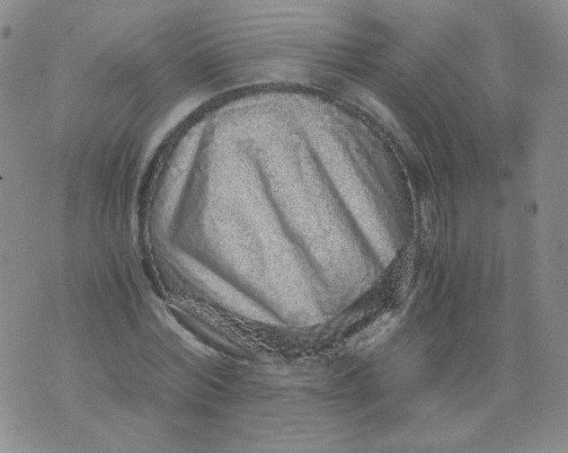 X0000076070780200610152226