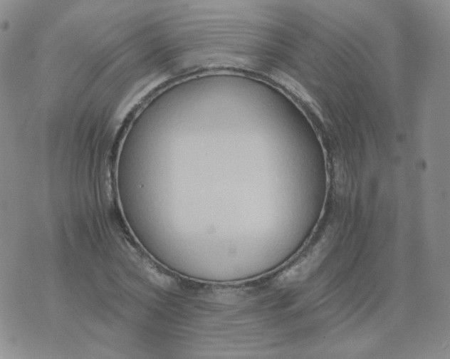 X0000076070782200610152226