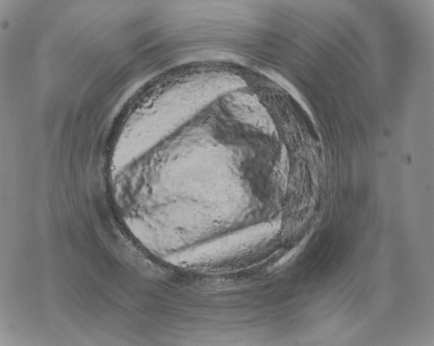 X0000076070783200610152226