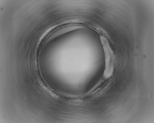 X0000076070784200610152226