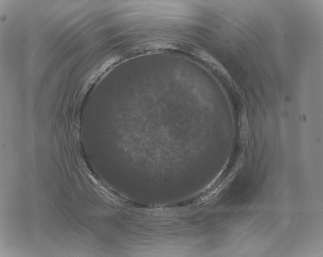 X0000076070785200610152226