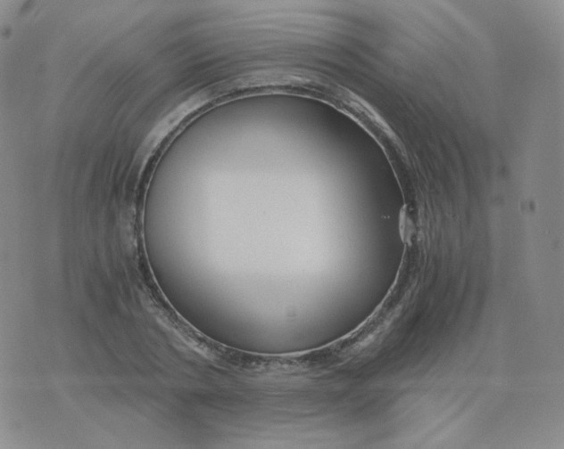 X0000076070786200610152226